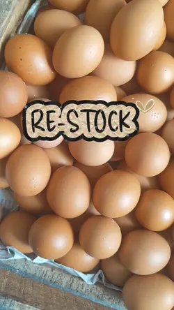 Restock Slow 2 vid