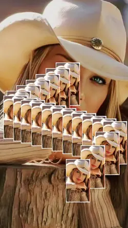 Use uma foto 