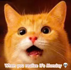 Goofy Ahh Meme