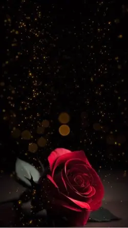 ♥️♥️🎼❤️❤️🥰🎼🥀