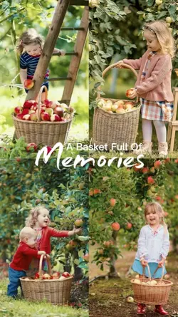 Apple Picking