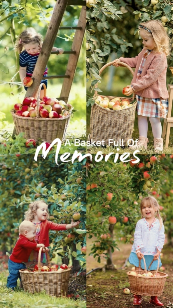 Apple Picking