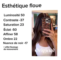 Esthétique floue