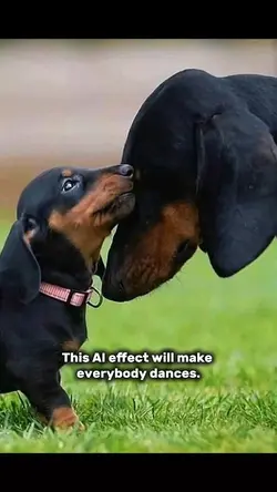 dachshund