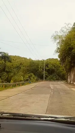 Travel