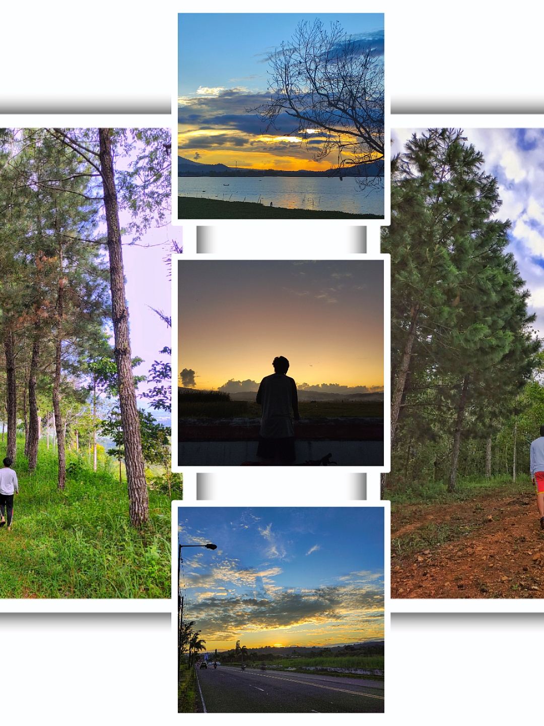 Aesthetic Frame/Grid