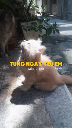 Từng Ngày Yêu Em 2P