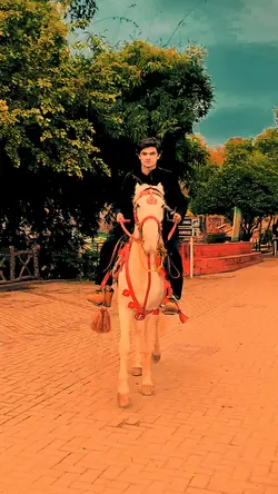 Horse riding 
