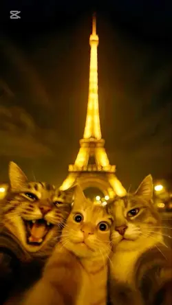 Suç ortaklarım🤪