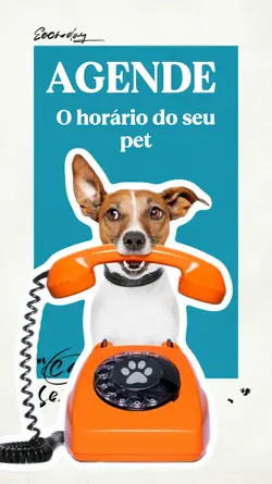 Agende o horário 