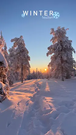 La neige 🤩❄️