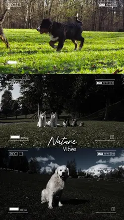 3 Horizontal Videos