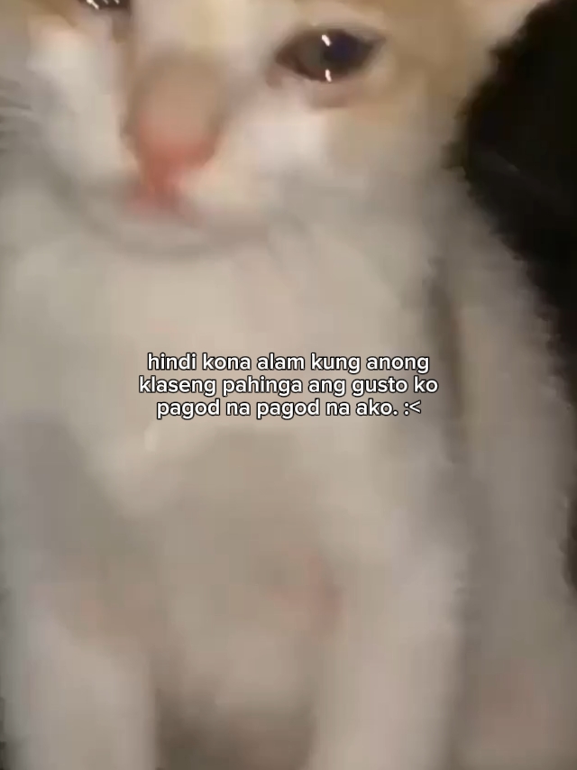 Je suis fatigué