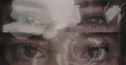 ph template
