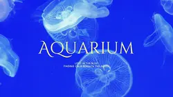 AQUARIUM VLOG