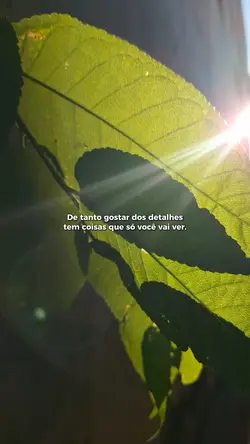 Detalhe Nature