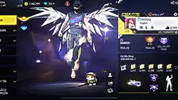 [mẫu show qđ 36 ảnh]