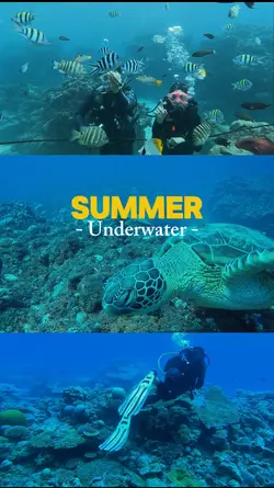Summer underwater 