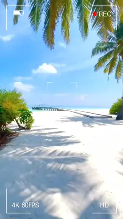 #Vlog