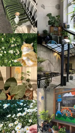 7 foto aesthetic