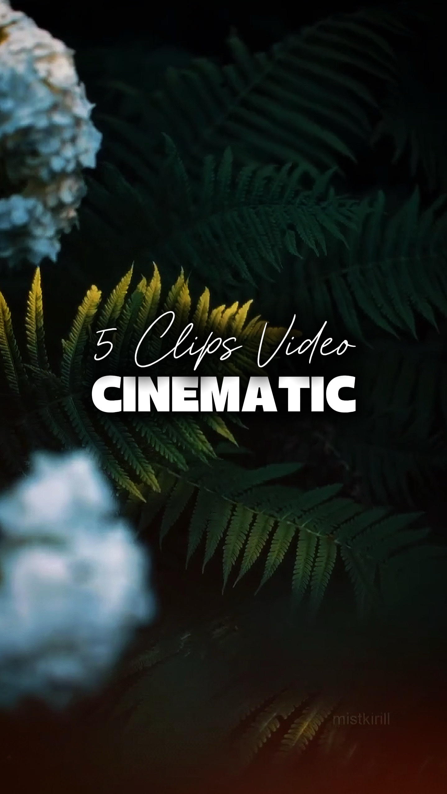 5 Videos Cinematic 