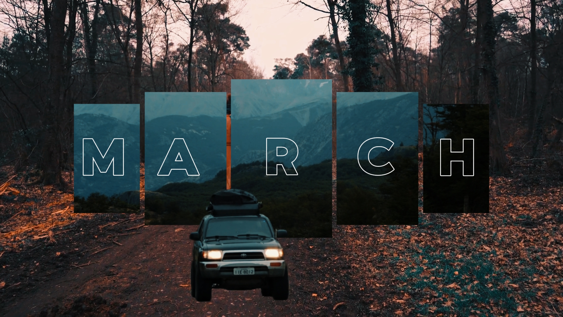 Cover Picture