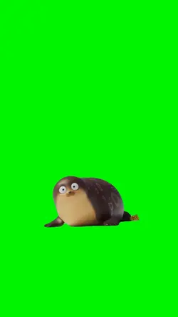 SEALOOK Meme