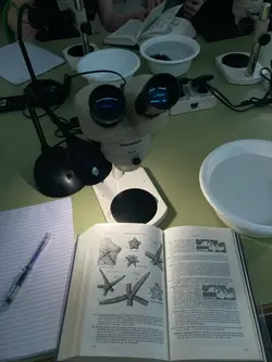 Marine Biologist