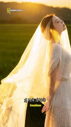 红豆
