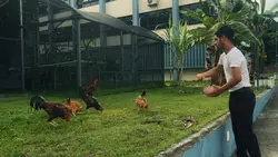 trend apresentação