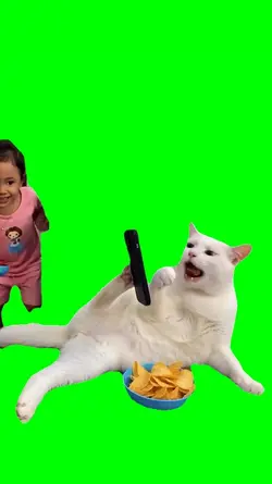 CAT CHIP DRAMA MEME