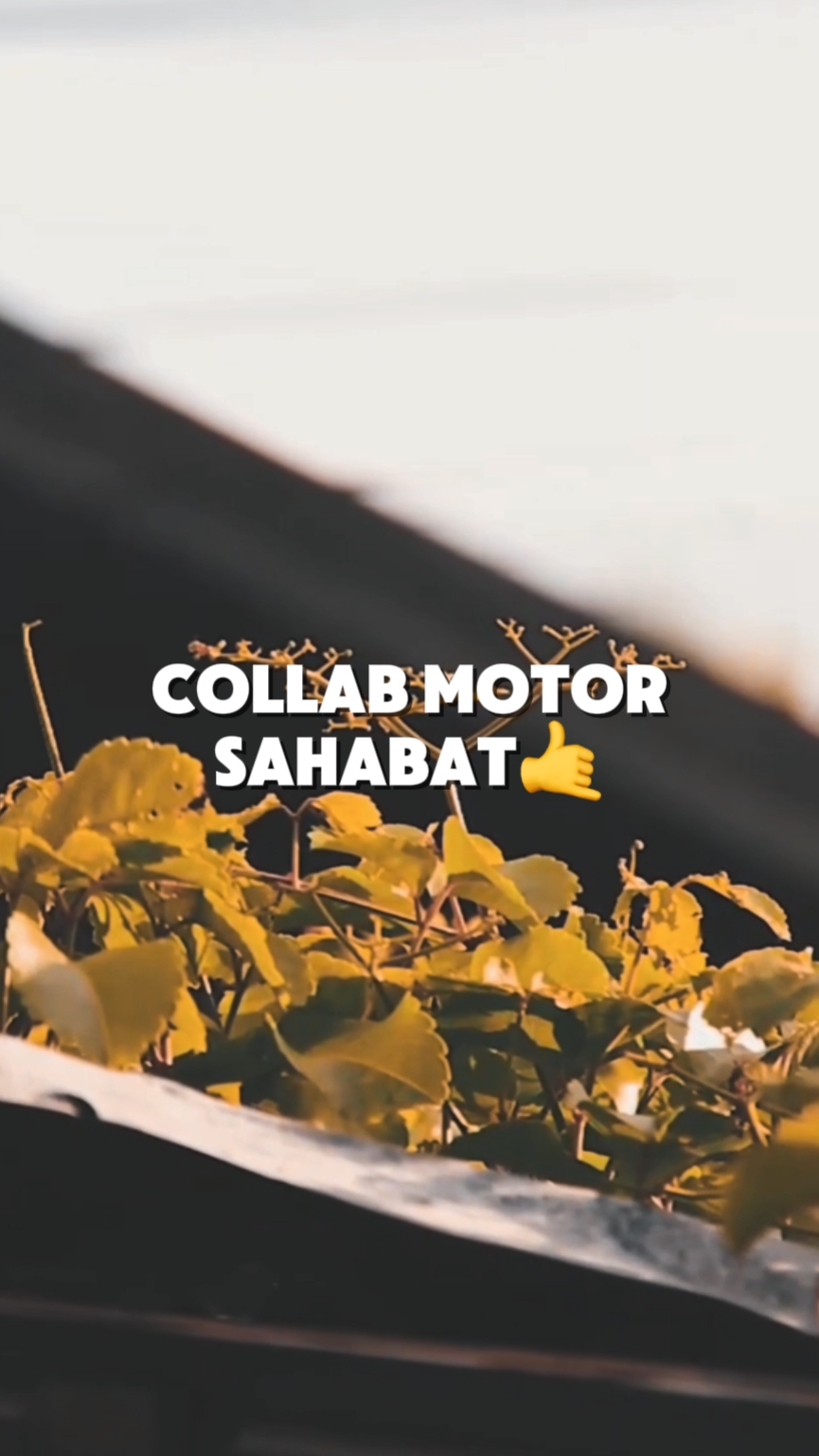 collab motor 