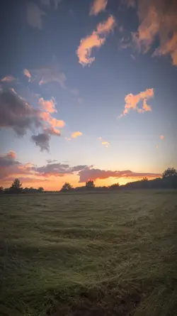 4K sunset slowmo 🌅💫