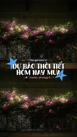 Mẫu 2 ảnh