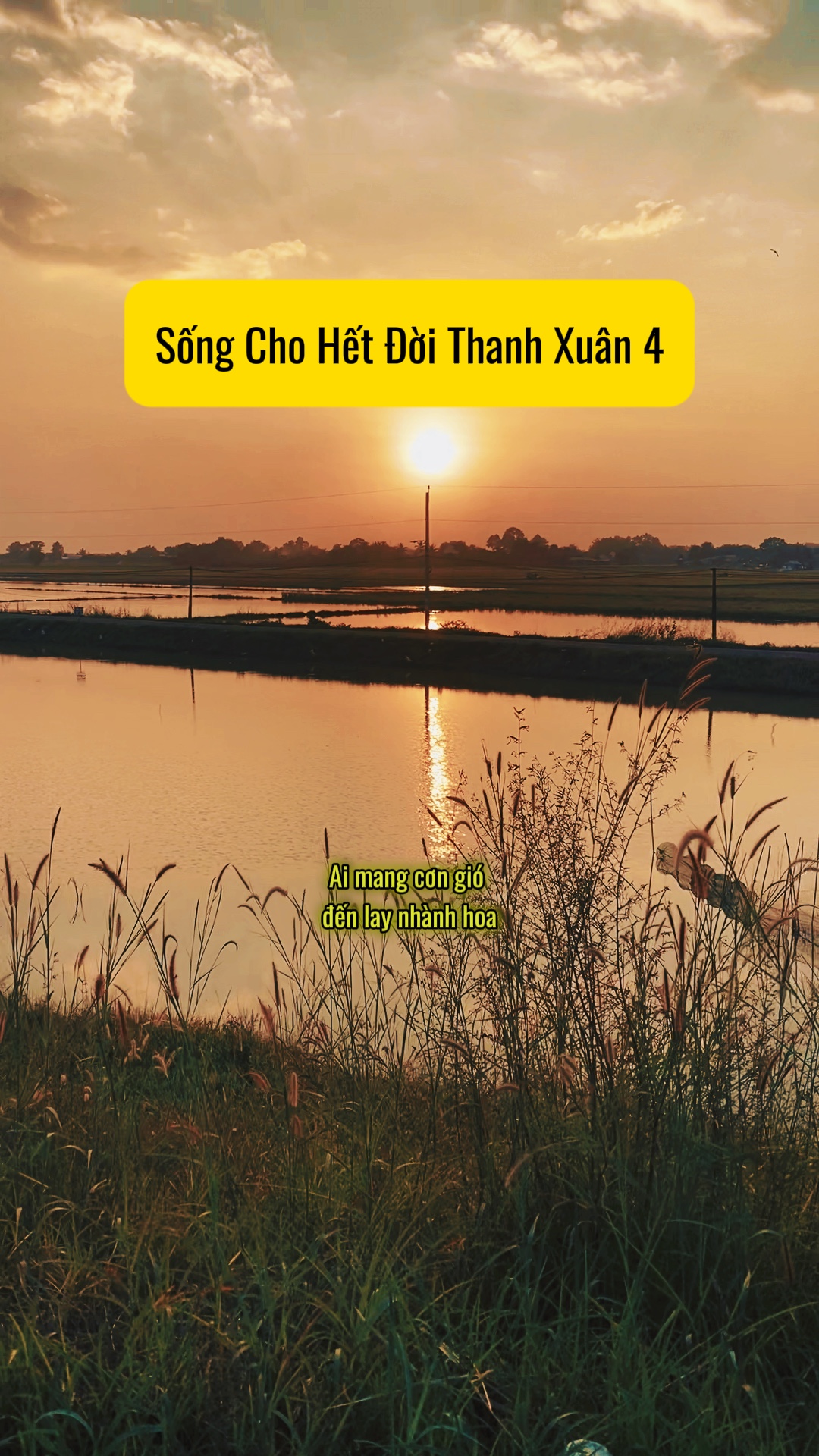 Sống cho hết 