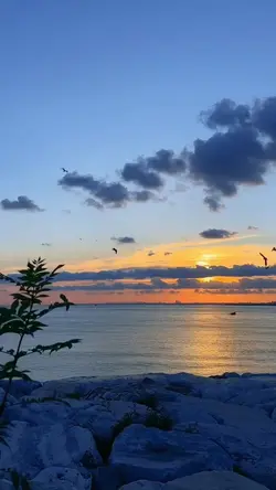Video chill... 