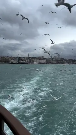 Ağır Çekim Şablonu 