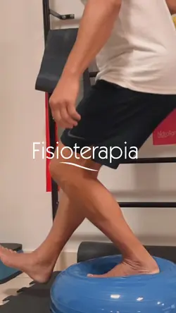 Fisioterapia 