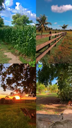 Fazenda tipografia