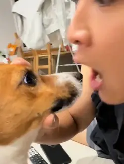 kissing dog core