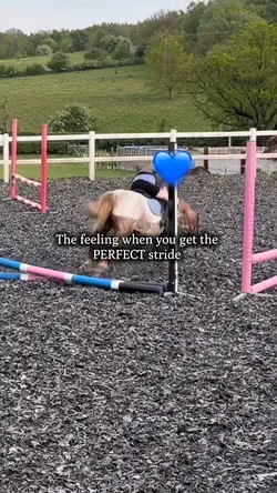 Perfect stride!