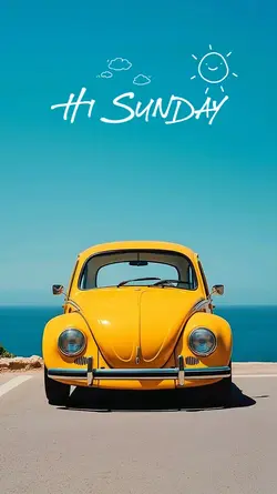 Hi Sunday 