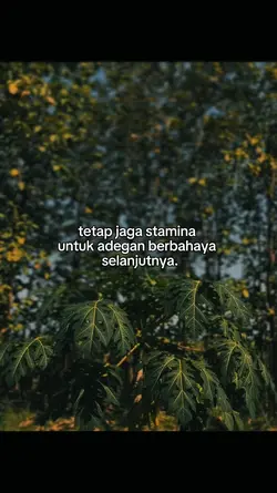 bahansw 