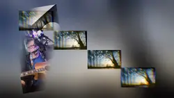 Nature video