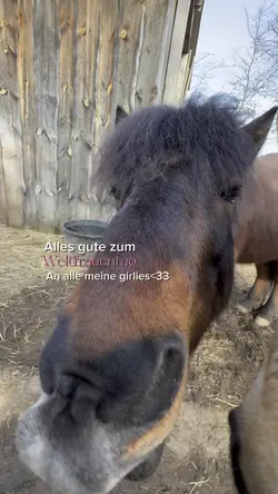 Weltfrauentag🤞🏻💕