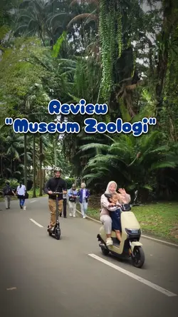 Opening Bumper Video