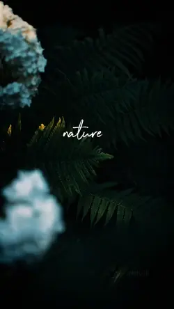 nature cinematic