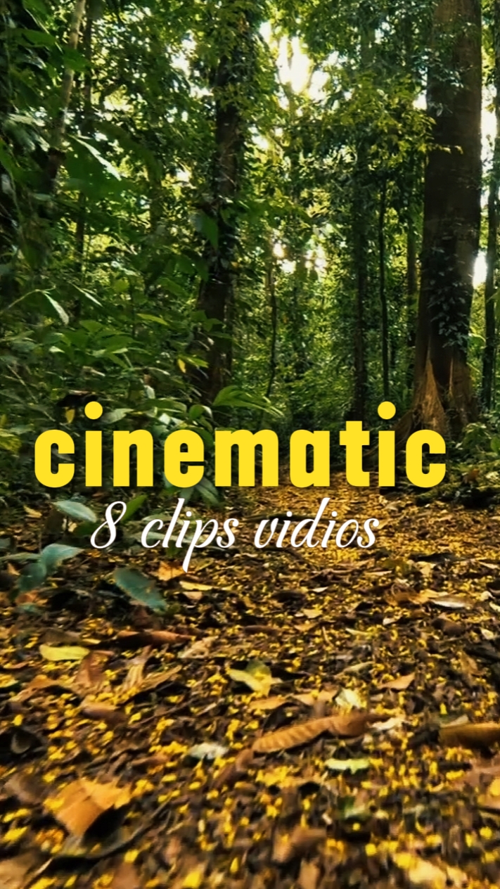 8 clipes de vídeos 
