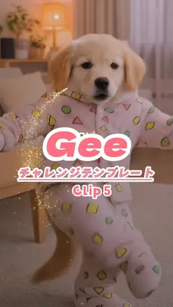 Geeチャレンジ（少女時代）