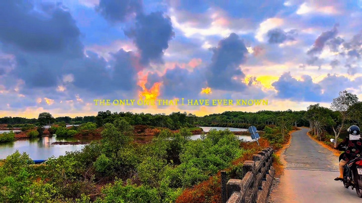 Cover Picture